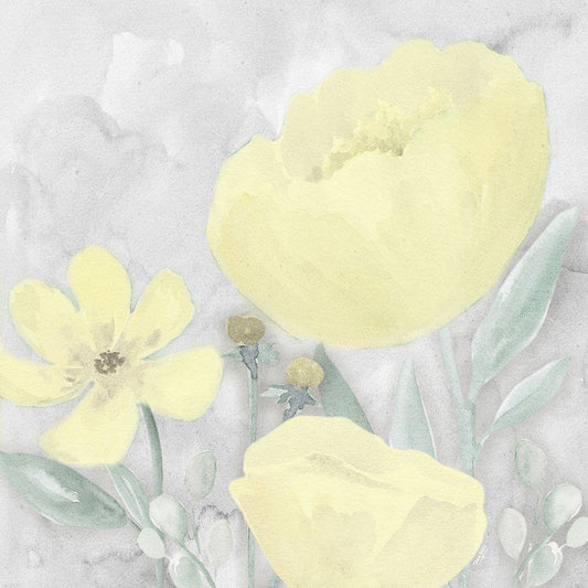 Image Only