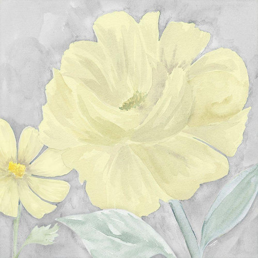 Image Only