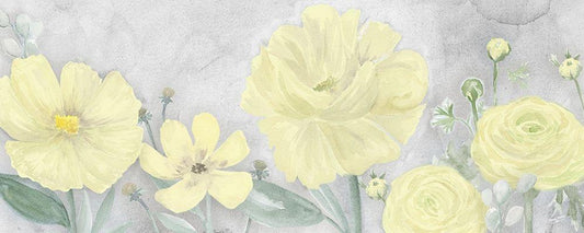 Image Only