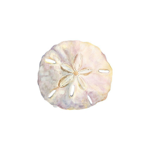 Oceanum Shells white IV-Sand Dollar White Modern Wood Framed Art Print by Reed, Tara