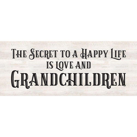 Grandparent Life panel VII-Secret White Modern Wood Framed Art Print by Reed, Tara