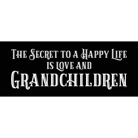 Grandparent Life panel black VII-Secret White Modern Wood Framed Art Print by Reed, Tara