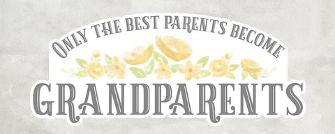 Grandparent Life panel gray VI-Only the Best White Modern Wood Framed Art Print with Double Matting by Reed, Tara