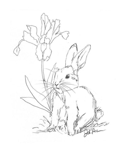 Bunny  Sketch Iris White Modern Wood Framed Art Print with Double Matting by Augustine, Jodi