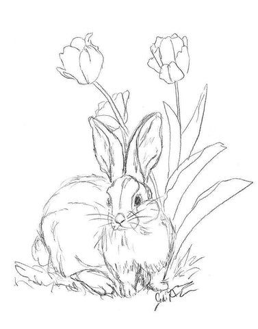 Bunny  Sketch Tulip White Modern Wood Framed Art Print with Double Matting by Augustine, Jodi