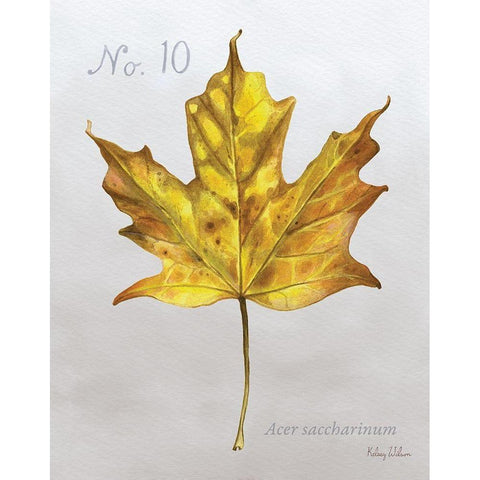 Autumn  Leaves on Gray I-Maple White Modern Wood Framed Art Print by Wilson, Kelsey