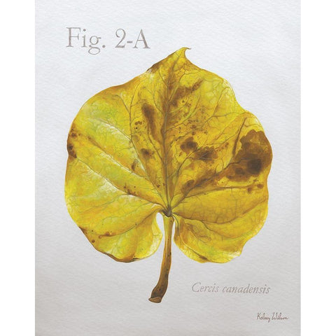 Autumn  Leaves on Gray IV-Redbud Gold Ornate Wood Framed Art Print with Double Matting by Wilson, Kelsey