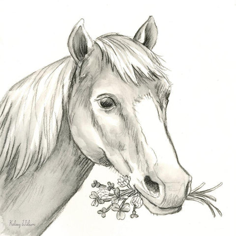 Watercolor  Pencil Farm III-Horse Gold Ornate Wood Framed Art Print with Double Matting by Wilson, Kelsey