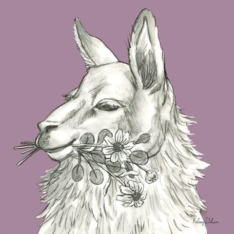 Watercolor  Pencil Farm color VII-Llama Black Modern Wood Framed Art Print by Wilson, Kelsey