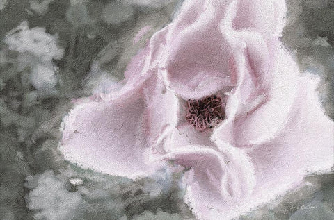 Garden  Dream V Black Ornate Wood Framed Art Print with Double Matting by Cusson, Marie Elaine