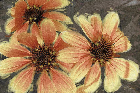 Garden  Dream VI Black Ornate Wood Framed Art Print with Double Matting by Cusson, Marie Elaine