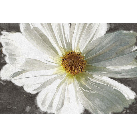 Garden  Dream VII Black Modern Wood Framed Art Print with Double Matting by Cusson, Marie Elaine