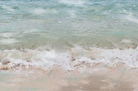Beach  Shore VI Black Ornate Wood Framed Art Print with Double Matting by Cusson, Marie Elaine