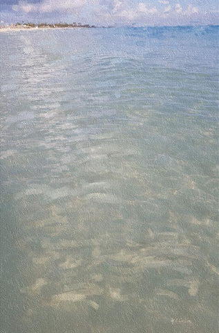 Beach  Shore IX Black Ornate Wood Framed Art Print with Double Matting by Cusson, Marie Elaine
