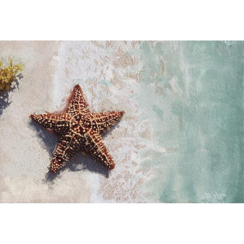 Beach  Shore XIV Black Modern Wood Framed Art Print with Double Matting by Cusson, Marie Elaine