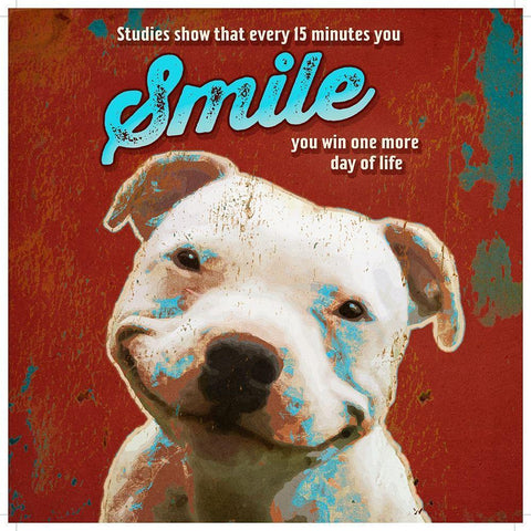 Pet  Sentiment I-Smile White Modern Wood Framed Art Print with Double Matting by Duirwaigh