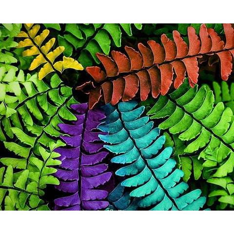 Feel  the Fern Black Modern Wood Framed Art Print with Double Matting by Manelis, Jessica