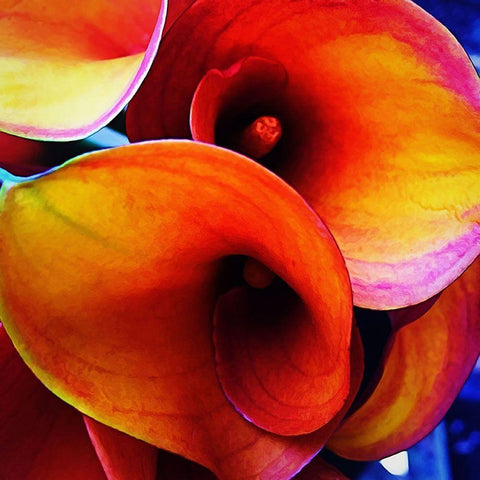 Happy  Accident Black Modern Wood Framed Art Print by Manelis, Jessica