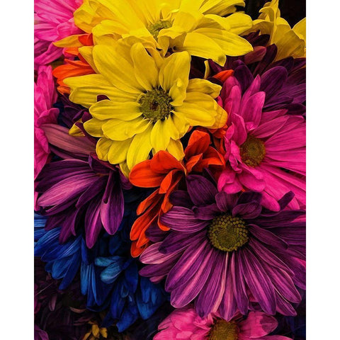 Riot  of Color Black Modern Wood Framed Art Print with Double Matting by Manelis, Jessica