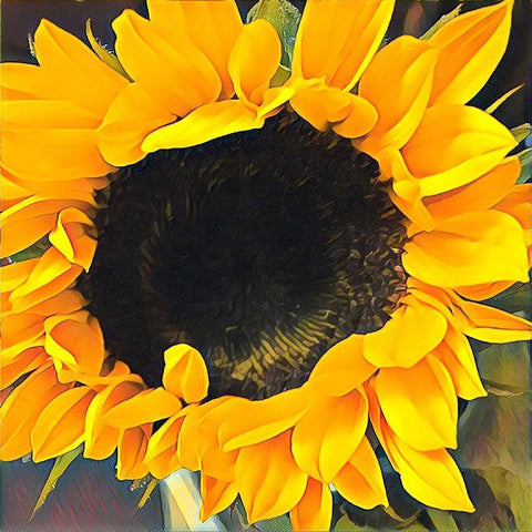 Sunshine  on my Mind Gold Ornate Wood Framed Art Print with Double Matting by Manelis, Jessica