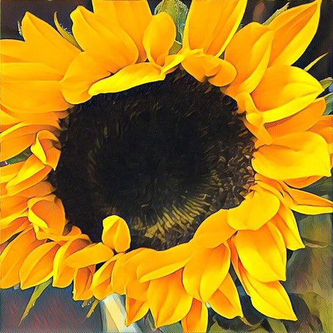 Sunshine  on my Mind Black Ornate Wood Framed Art Print with Double Matting by Manelis, Jessica