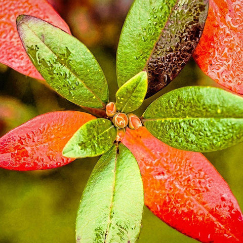 Tis  the Season White Modern Wood Framed Art Print with Double Matting by Manelis, Jessica