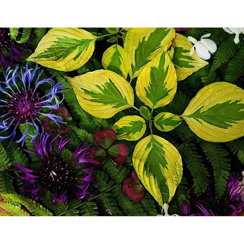 Welcome  to the Jungle Gold Ornate Wood Framed Art Print with Double Matting by Manelis, Jessica