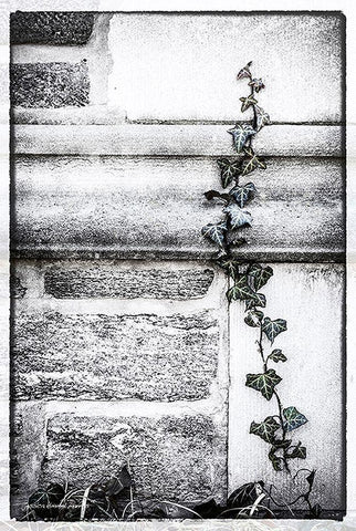 Ivy  League Black Ornate Wood Framed Art Print with Double Matting by Manelis, Jessica