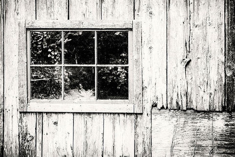 Out  the Window Black Ornate Wood Framed Art Print with Double Matting by Manelis, Jessica