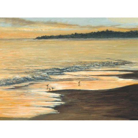 Coastline White Modern Wood Framed Art Print by Mielko, Tom