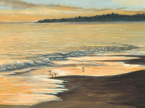 Coastline White Modern Wood Framed Art Print with Double Matting by Mielko, Tom