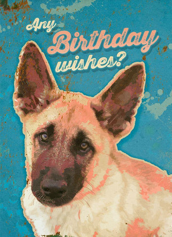 Pet Sentiment  IV-Birthday Wishes White Modern Wood Framed Art Print with Double Matting by Duirwaigh