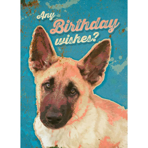 Pet Sentiment  IV-Birthday Wishes Black Modern Wood Framed Art Print with Double Matting by Duirwaigh