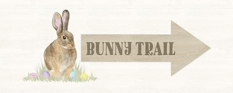 Farmhouse  Easter panel II White Modern Wood Framed Art Print with Double Matting by Reed, Tara