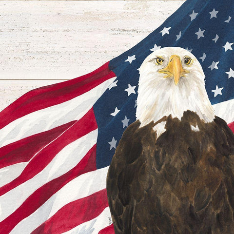 Let  Freedom Soar I Black Modern Wood Framed Art Print with Double Matting by Reed, Tara