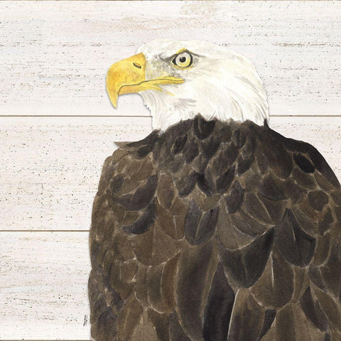 Let  Freedom Soar II White Modern Wood Framed Art Print by Reed, Tara