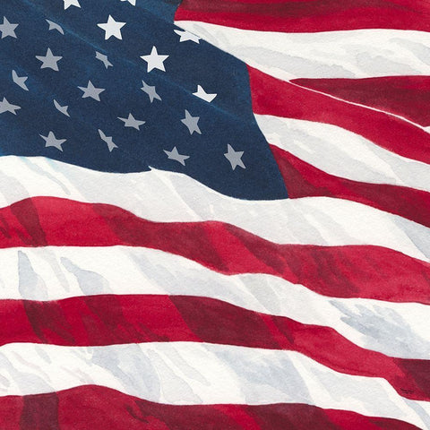 Let  Freedom Soar VI Black Modern Wood Framed Art Print by Reed, Tara