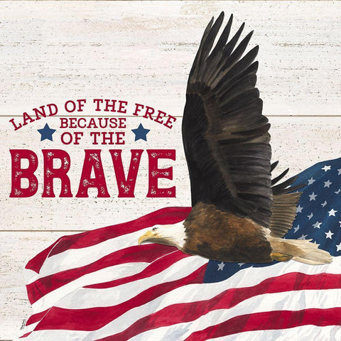 Let  Freedom Soar Sentiment I-The Brave White Modern Wood Framed Art Print by Reed, Tara