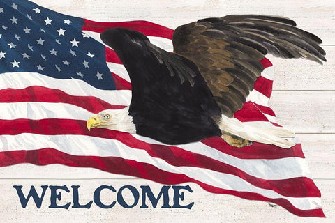 Let  Freedom Soar Sentiment landscape-Welcome White Modern Wood Framed Art Print with Double Matting by Reed, Tara