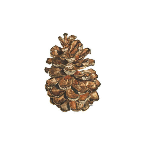 Home for the Holidays icon VII-Pinecone 1 White Modern Wood Framed Art Print with Double Matting by Reed, Tara