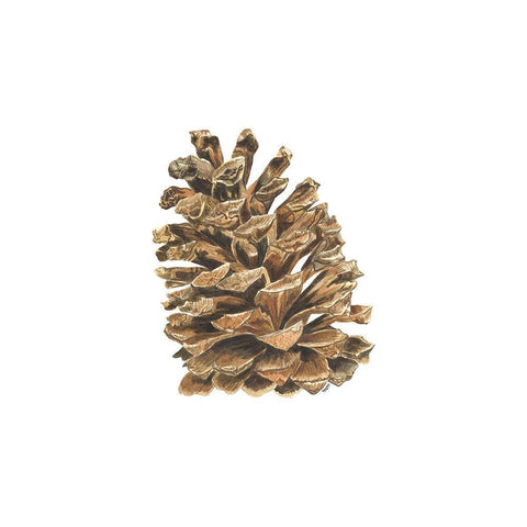 Home for the Holidays icon VIII-Pinecone 2 White Modern Wood Framed Art Print with Double Matting by Reed, Tara