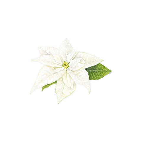 Home for the Holidays icon XIII-White Poinsetta 1 White Modern Wood Framed Art Print by Reed, Tara