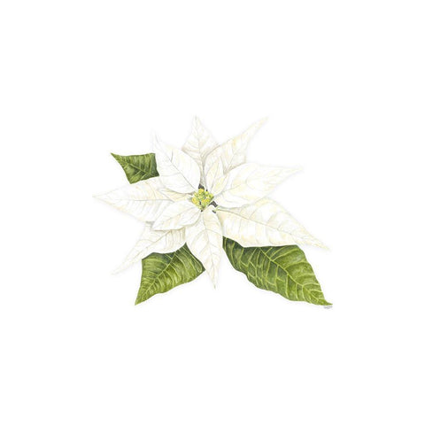 Home for the Holidays icon XIV-White Poinsetta 2 White Modern Wood Framed Art Print with Double Matting by Reed, Tara