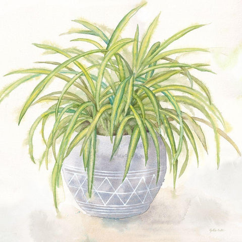 Houseplant II-Spider Plant White Modern Wood Framed Art Print by Coulter, Cynthia