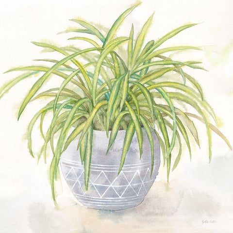 Houseplant II-Spider Plant White Modern Wood Framed Art Print with Double Matting by Coulter, Cynthia