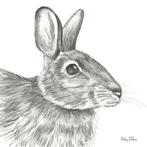 Watercolor Pencil Forest II-Rabbit White Modern Wood Framed Art Print by Wilson, Kelsey