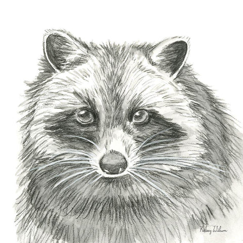 Watercolor Pencil Forest VI-Raccoon White Modern Wood Framed Art Print by Wilson, Kelsey