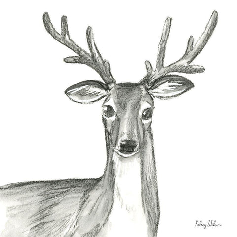 Watercolor Pencil Forest VIII-Deer Black Modern Wood Framed Art Print with Double Matting by Wilson, Kelsey