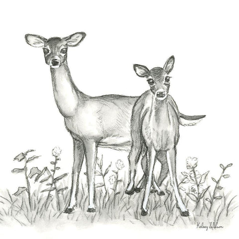 Watercolor Pencil Forest X-Deer Family White Modern Wood Framed Art Print with Double Matting by Wilson, Kelsey