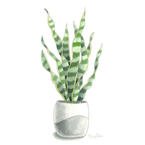 Potted Exotics I Black Modern Wood Framed Art Print by Wilson, Kelsey